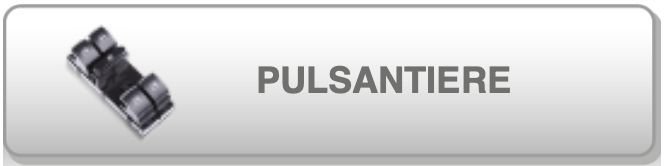 Pulsantiera Alzavetro / Alzacristalli Iveco Daily