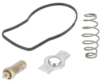 Kit Riparazione Termostato Cursor