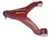 Braccio Osc. Inf.Sx Daily 2000 35S12 M.Y. 2009