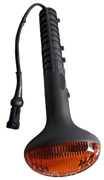 Fanale Laterale DX Iveco