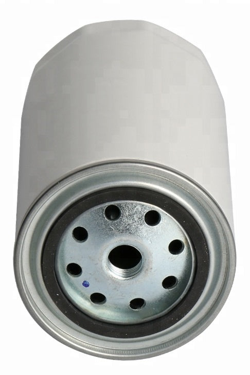 Filtro Gasolio Stralis