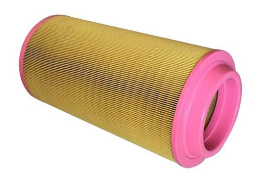 Filtro Aria Eurocargo Tector