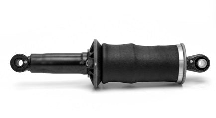 AMMORTIZZATORI CABINA POST.RENAULT-VOLVO VOLVO - 21880100