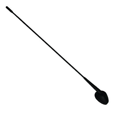 Antenna Daily