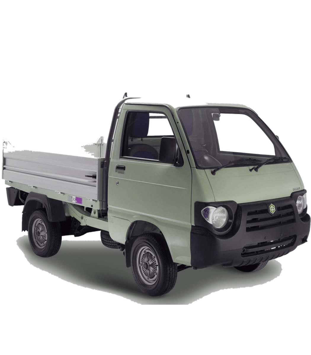 Ganasce Freno Posteriori Piaggio Quargo