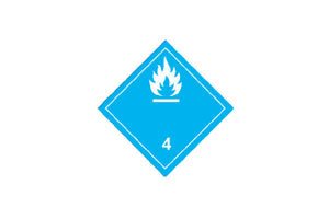 CONTRASSEGNO PER VEICOLO 4000.99809 - Carrozzeria Truck