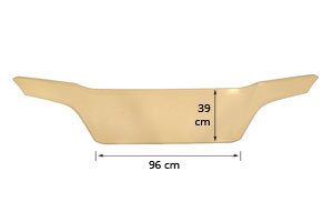 PANNELLO FRONTALE SCANIA R 2016 | PGRS - 2542870 - Carrozzeria Truck