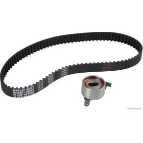 Kit Distribuzione Piaggio Porter 1.3 benzina 16 Valvole - Mondo Porter