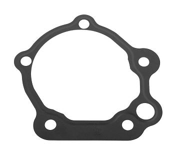 Guarnizione Piana Motore | per Iveco | OE 504045791