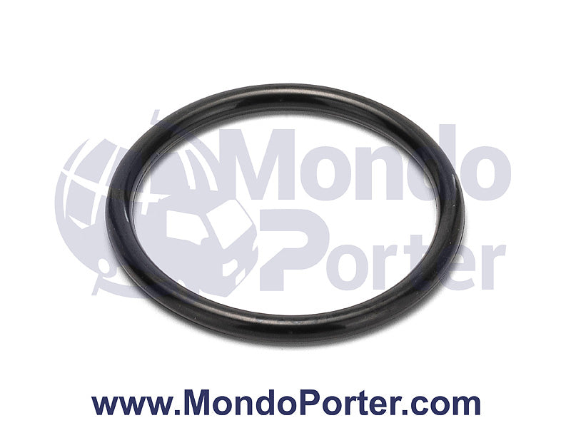 Oring Pompa Olio Piaggio Porter 1.3 Benzina 16V 9004301150000 - Mondo Porter