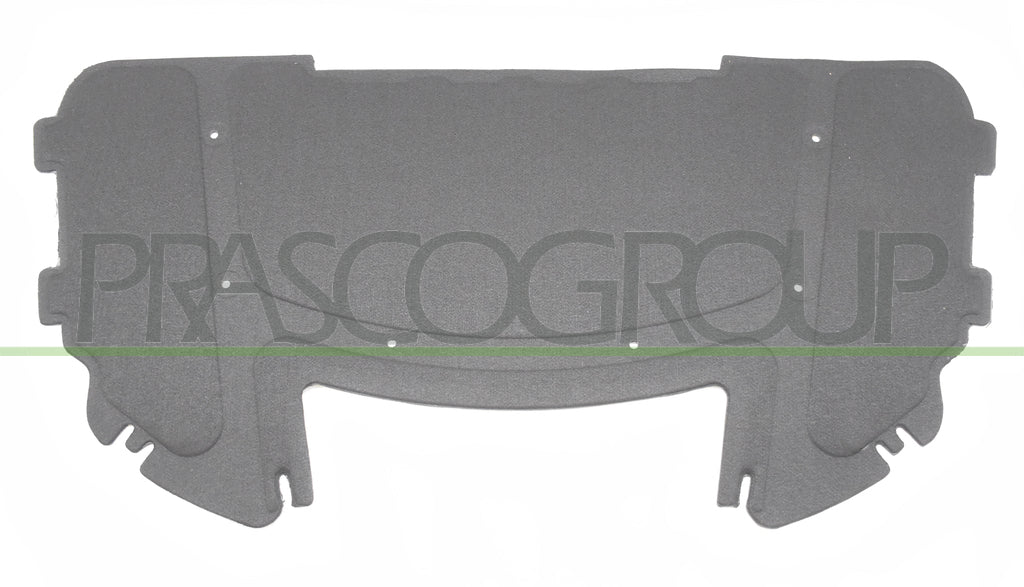 pannello insonorizzatore cofano bmw 3 series e90 e91 2005 2009 bm0241945