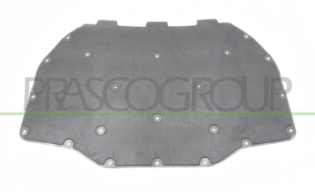 pannello insonorizzatore cofano bmw 5 series f07 gt 2009 2012 bm5001945