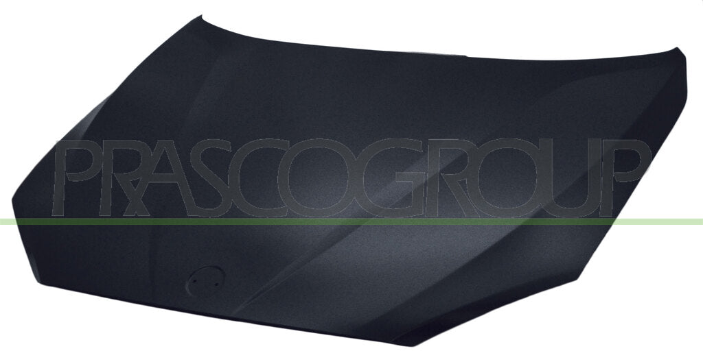 cofano bmw x1 e84 2012 2015 bm7023100