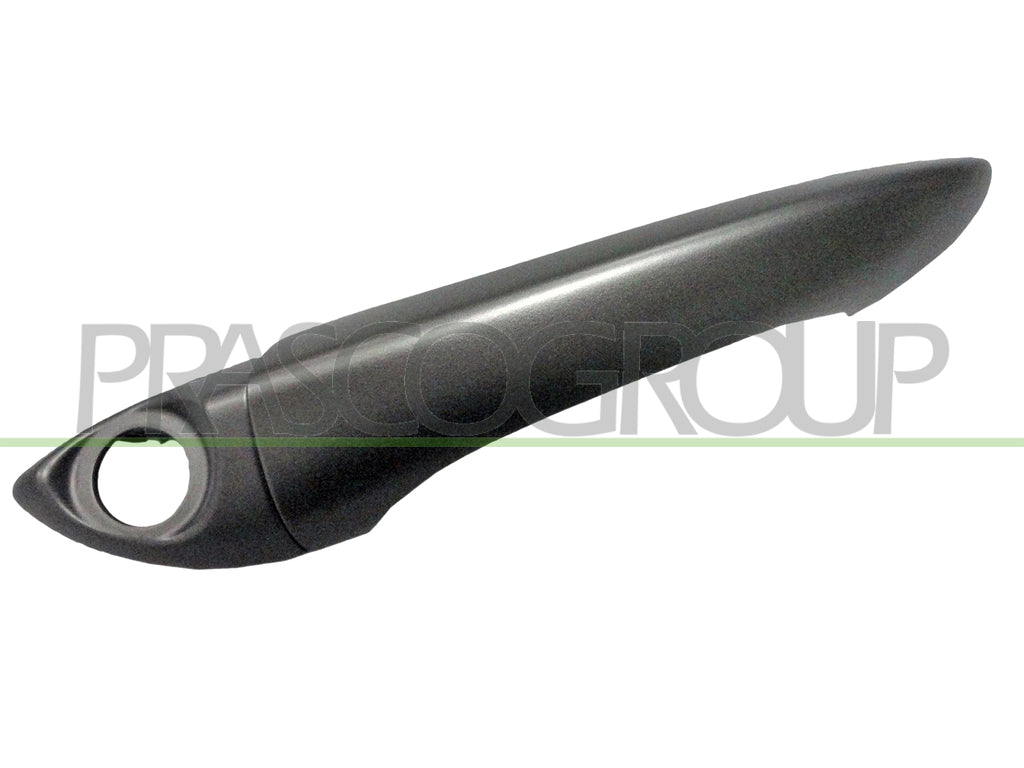 maniglia anteriore sinistra esterna argento con foro nottolino bmw x5 e53 2000 2006 bm8208008