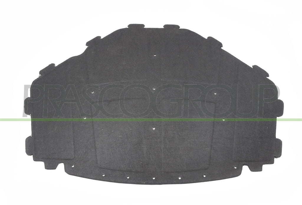 pannello insonorizzatore cofano 14 clips bmw x5 e70 2007 2010 bm8221945