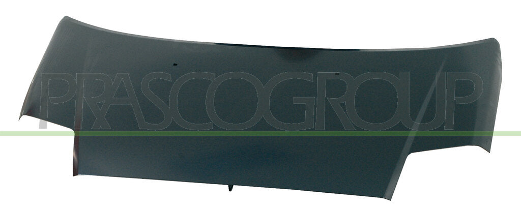 cofano citroen c2 2003 2007 ci3043100
