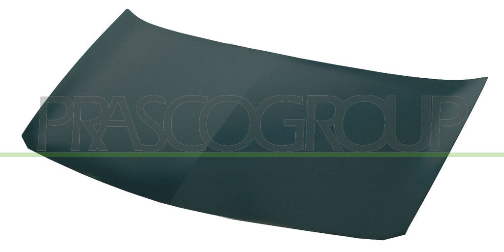 cofano renault megane 2002 2005 rn4203100